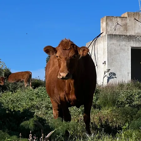 Vakantieboerderij Mongofre