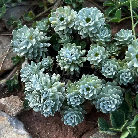 Mongofre Vakantieboerderij *