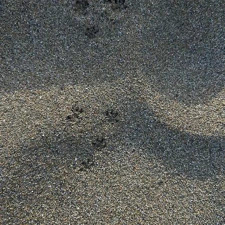 Vakantieboerderij Mongofre *