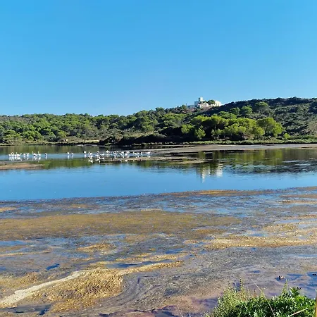 Mongofre בית חווה מאהון