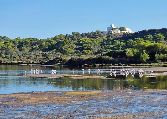 Mongofre Alojamento de Turismo Rural *