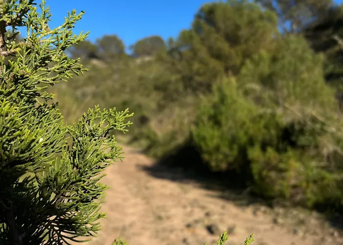 Alojamento de Turismo Rural Mongofre *