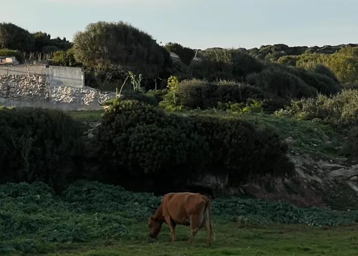 Alojamento de Turismo Rural Mongofre