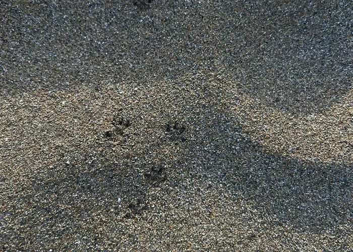 Alojamento de Turismo Rural Mongofre *