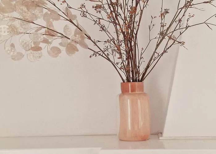 Alojamento de Turismo Rural Mongofre