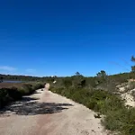 Mongofre * Mahón
