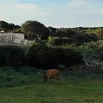 Farmház Mongofre