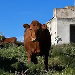 Farma Mongofre