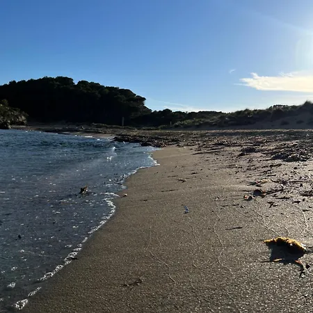 Mongofre * Mahon (Menorca)