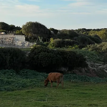 Farm stay Mongofre