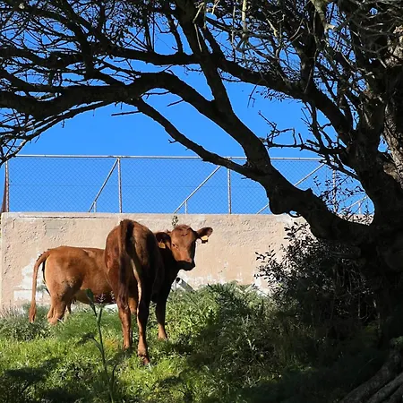 Mongofre Séjour à la ferme