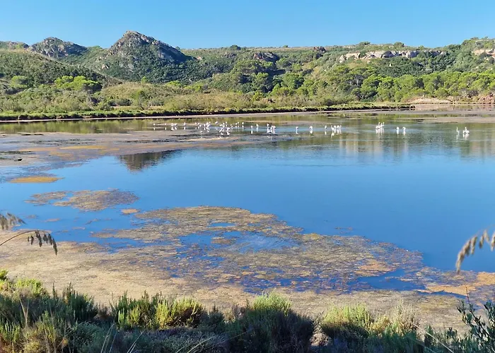 Κατάλυμα σε φάρμα Mongofre Μαό